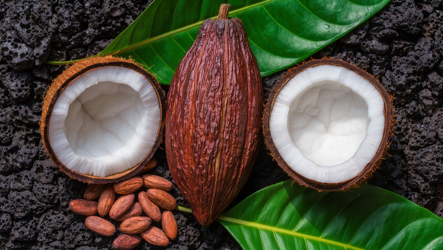 Raw organic cacao pods and fresh coconut on Hawaii volcanic basalt rock