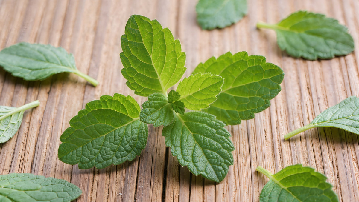 Best Electrolytes Without Stevia (2026): What Qualifies and Why the List Is Shorter Than You Think